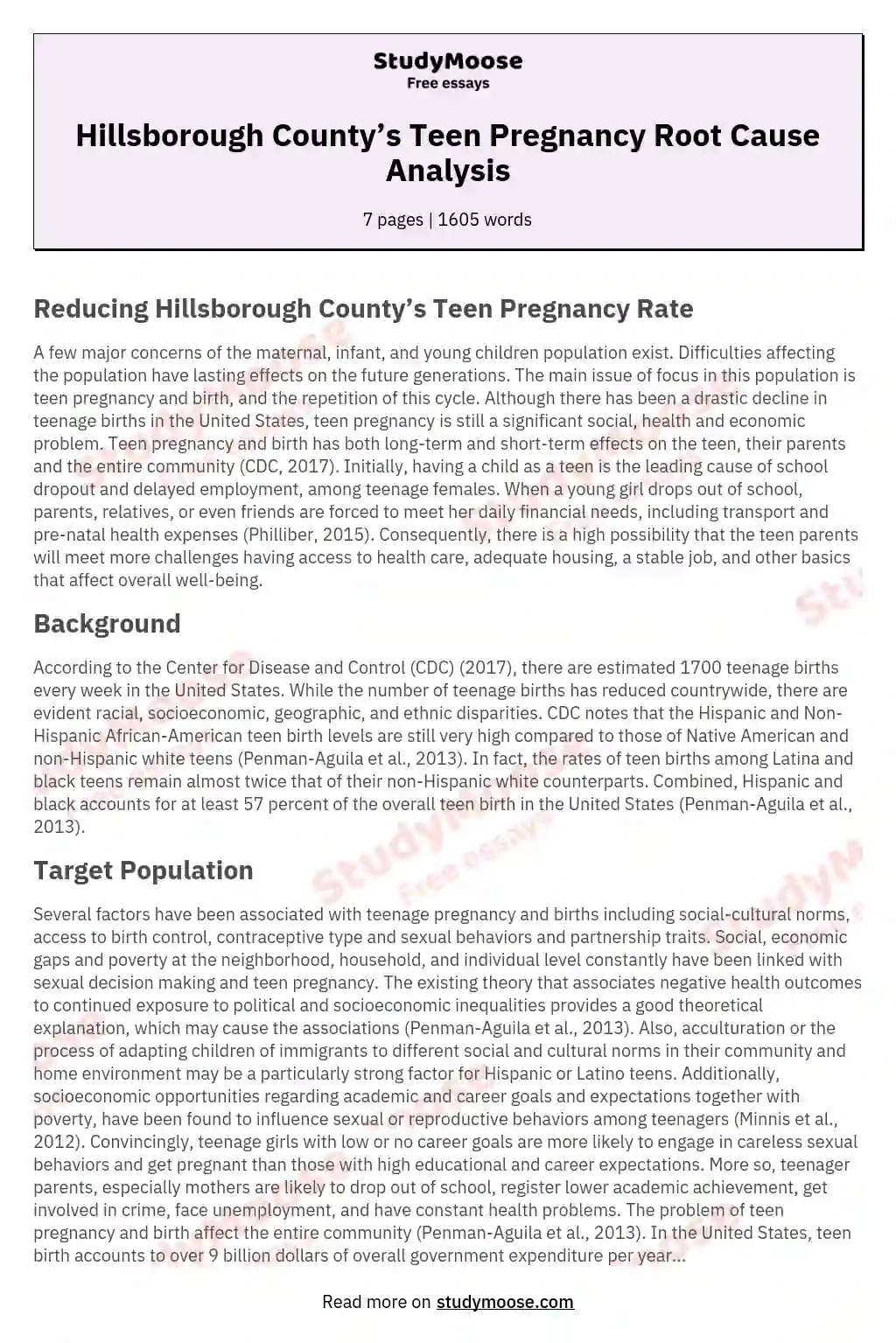 Hillsborough County’s Teen Pregnancy Root Cause Analysis essay