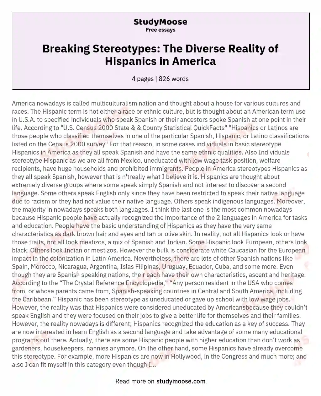 Breaking Stereotypes: The Diverse Reality of Hispanics in America essay