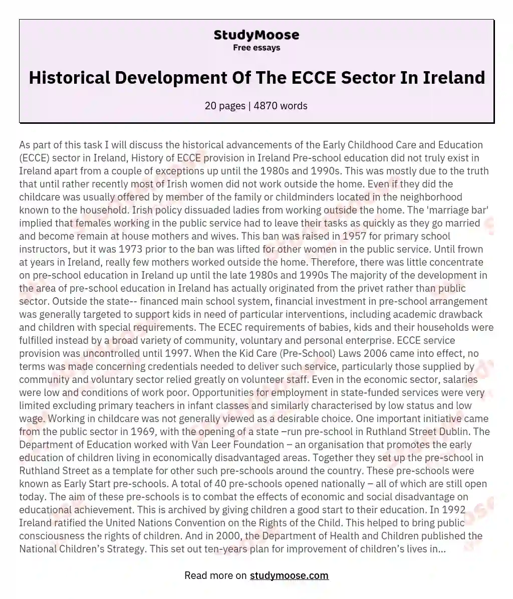 Historical Development Of The ECCE Sector In Ireland essay