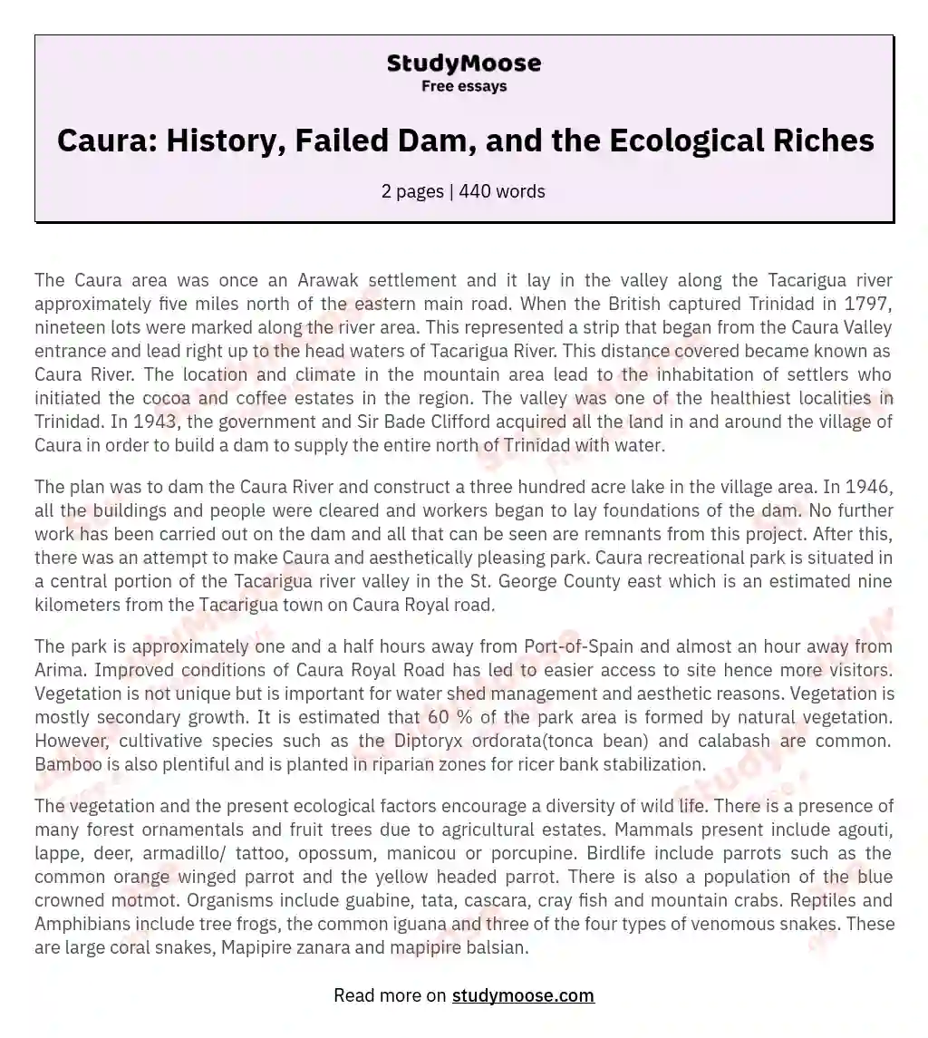Caura: History, Failed Dam, and the Ecological Riches essay