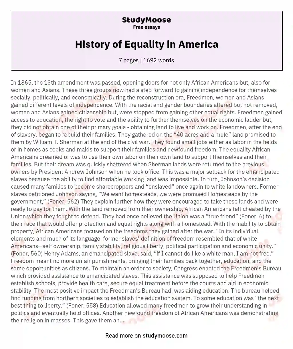 History of Equality in America essay