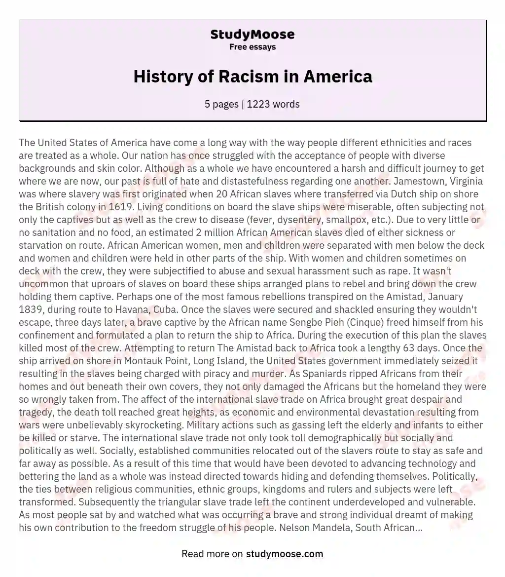 History of Racism in America essay