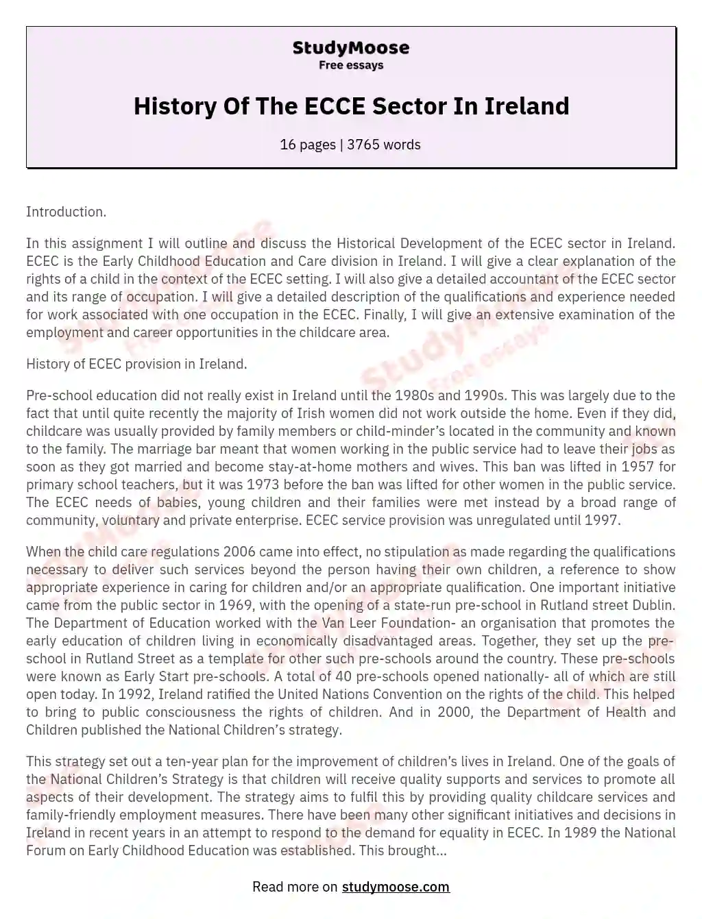 History Of The ECCE Sector In Ireland essay