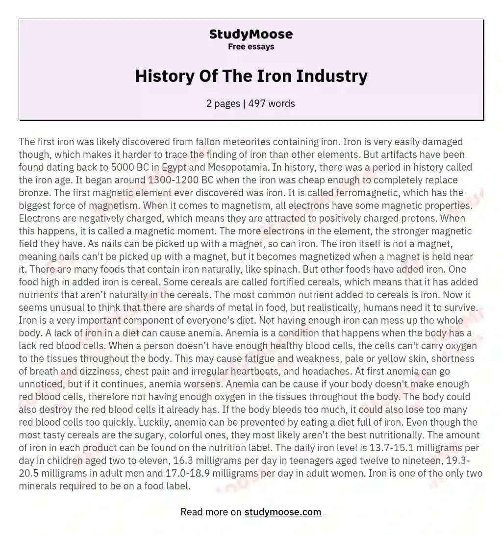 History Of The Iron Industry essay