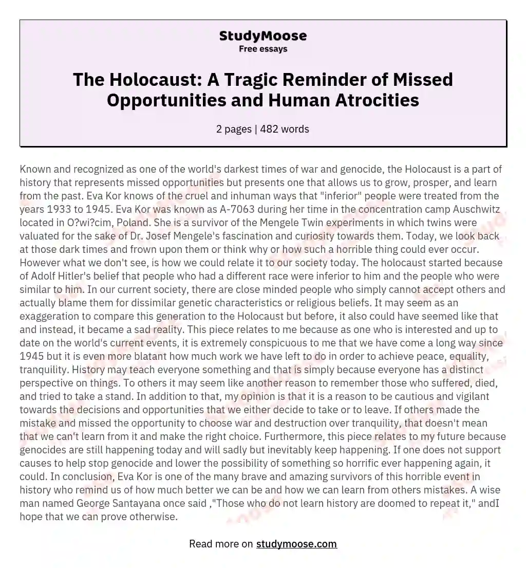 The Holocaust: A Tragic Reminder of Missed Opportunities and Human Atrocities essay