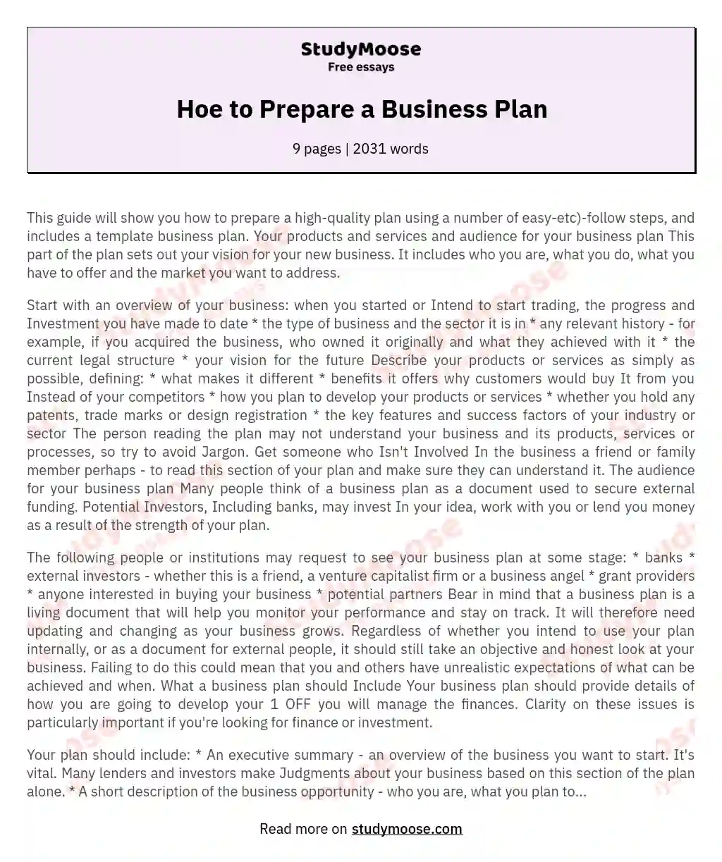 Hoe to Prepare a Business Plan essay
