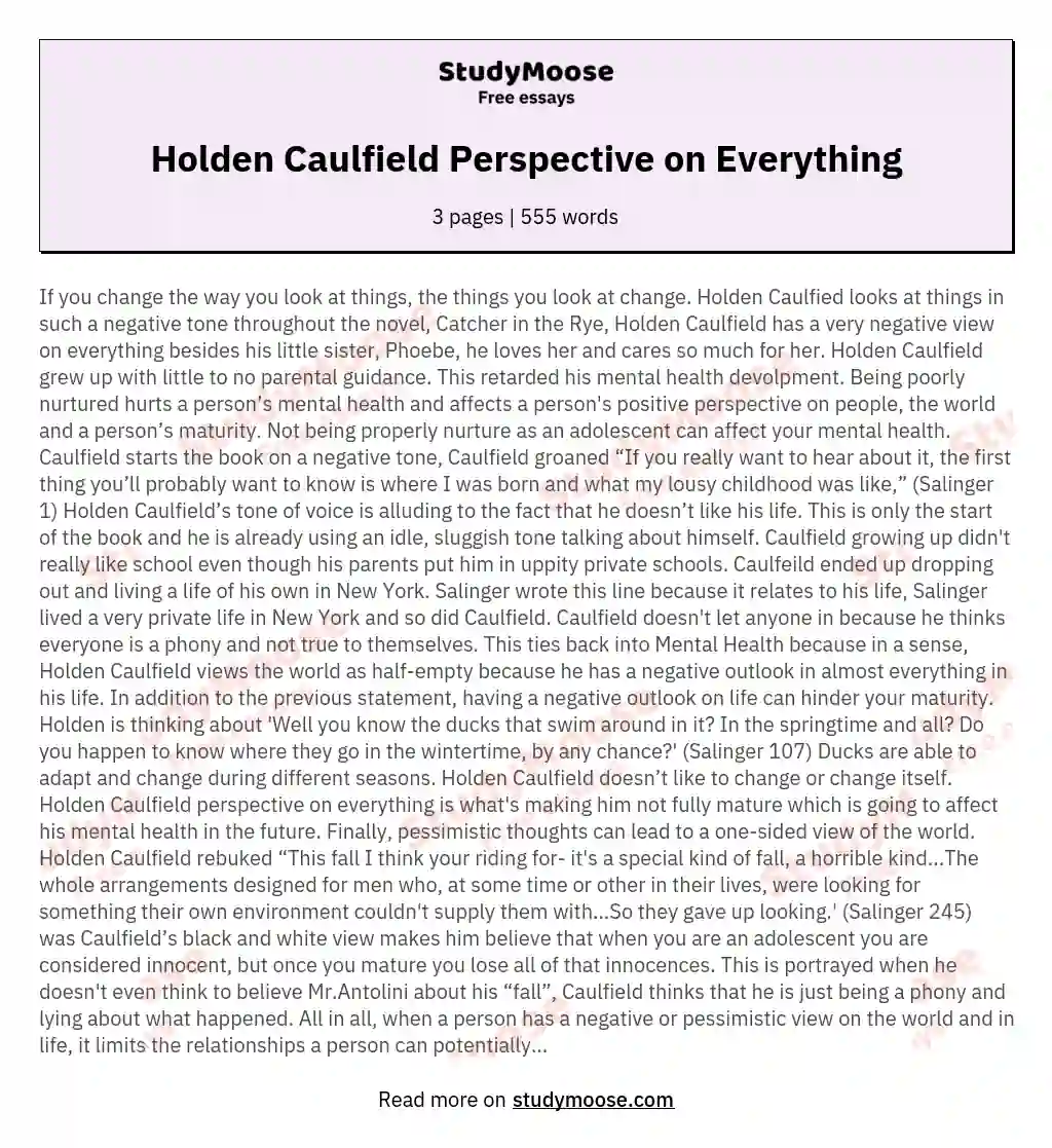 Holden Caulfield Perspective on Everything essay