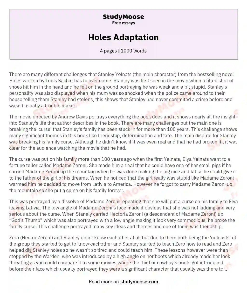 Holes Adaptation essay