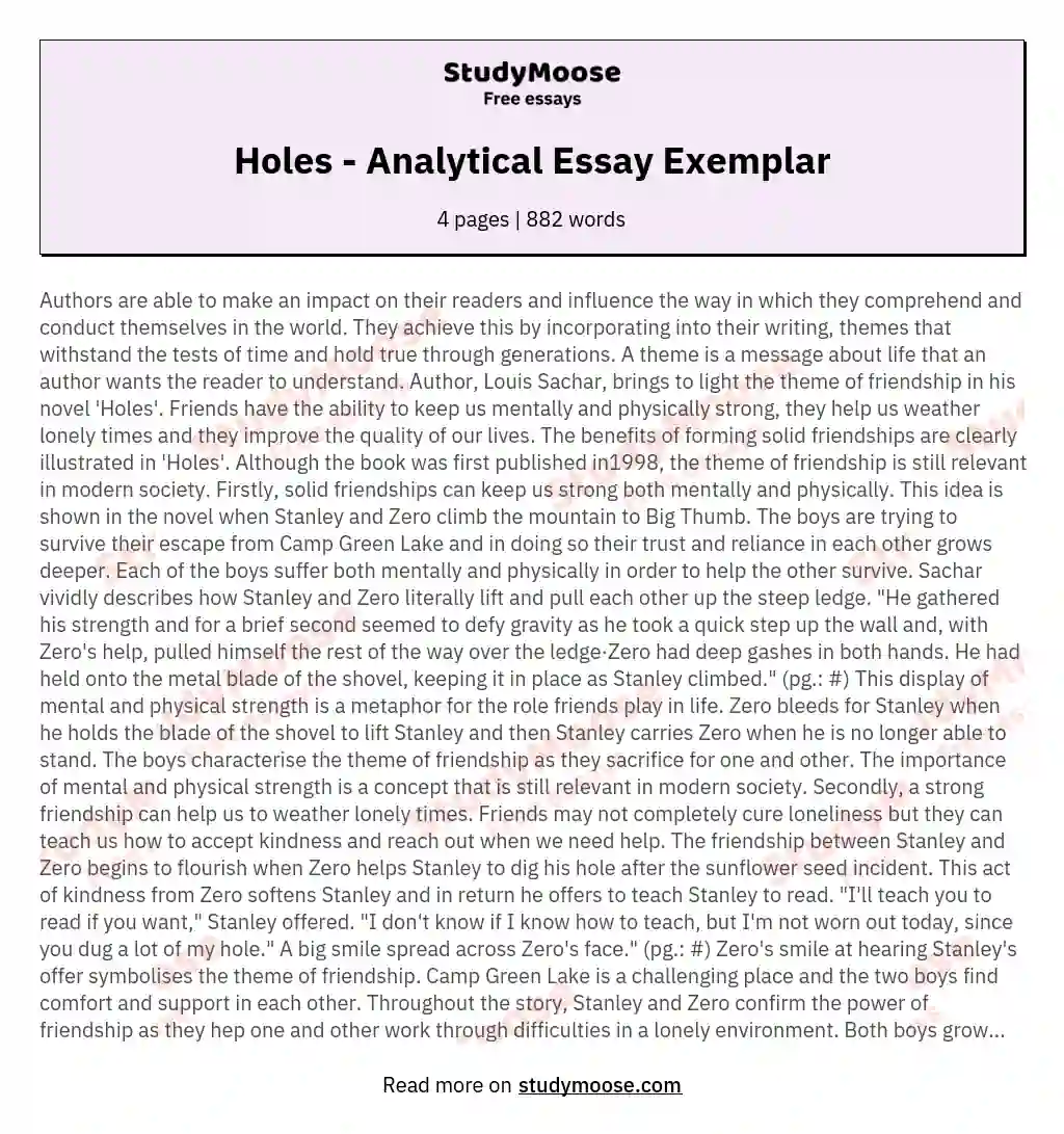 Holes - Analytical Essay Exemplar