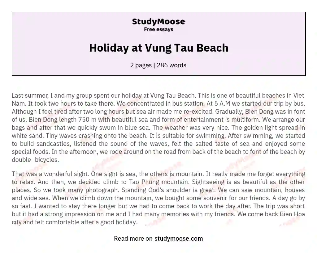Holiday at Vung Tau Beach essay