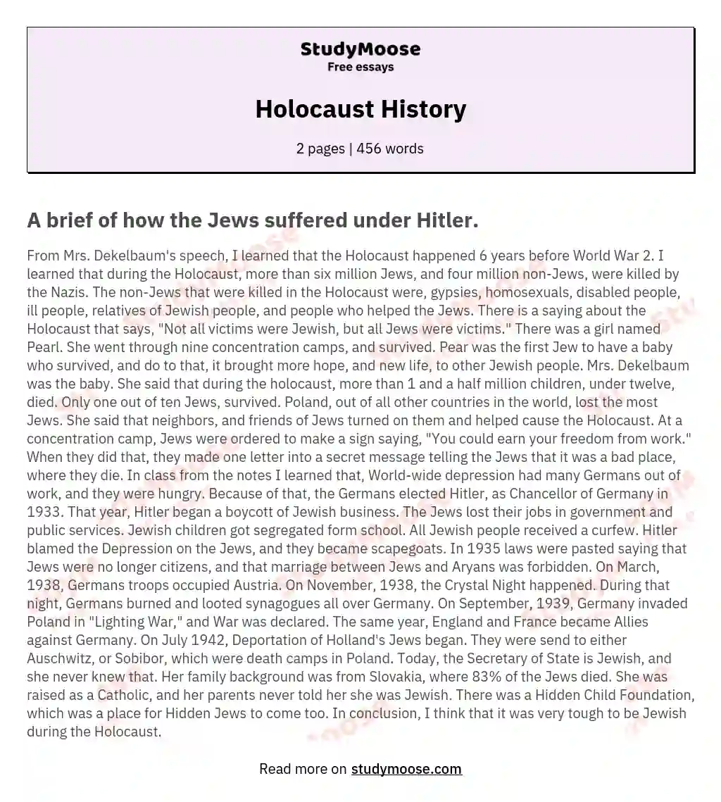 Holocaust History essay