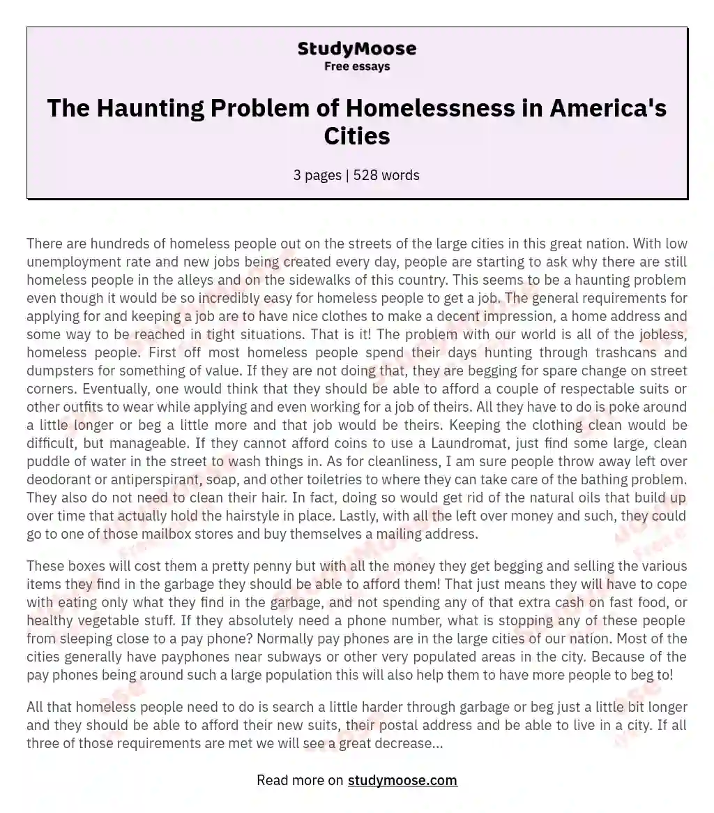 The Haunting Problem of Homelessness in America's Cities essay