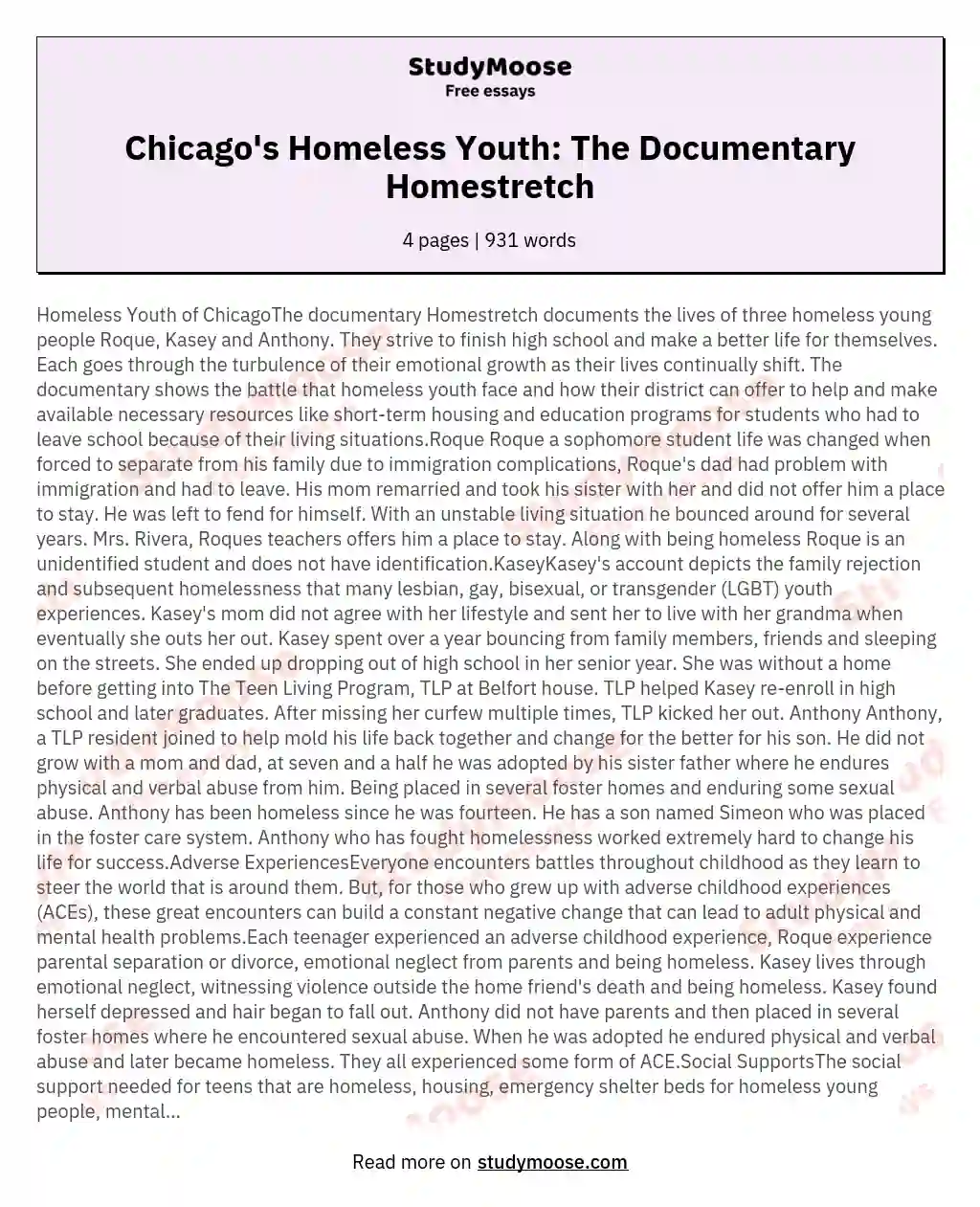 Chicago's Homeless Youth: The Documentary Homestretch essay