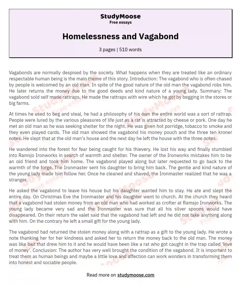 Homelessness and Vagabond essay