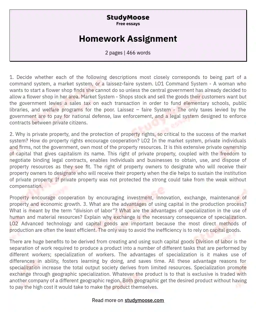 Homework Assignment essay