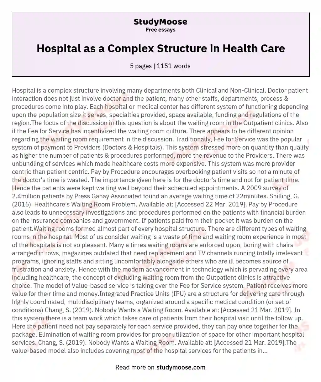 Hospital as a Complex Structure in Health Care essay