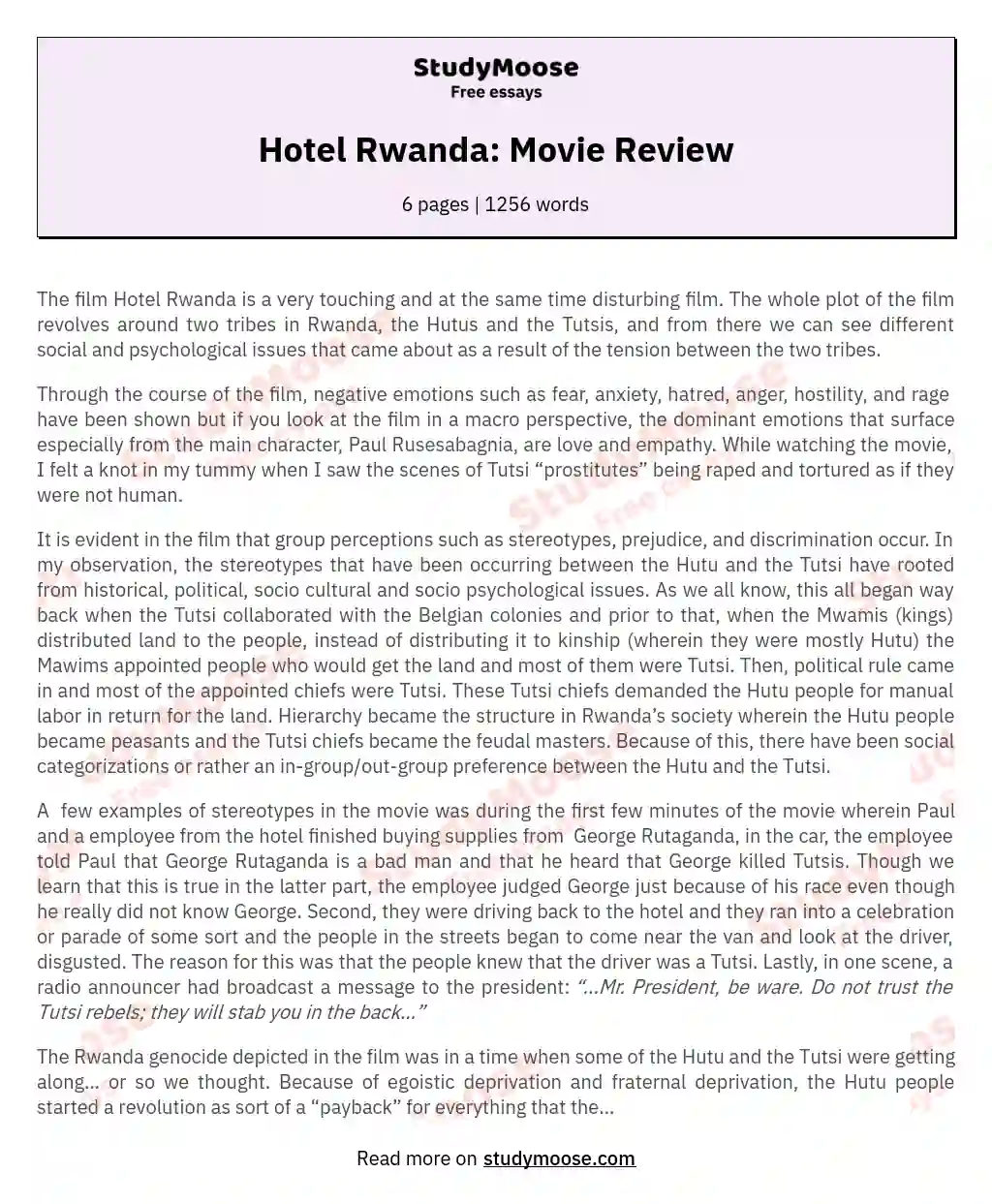 Hotel Rwanda: Movie Review essay