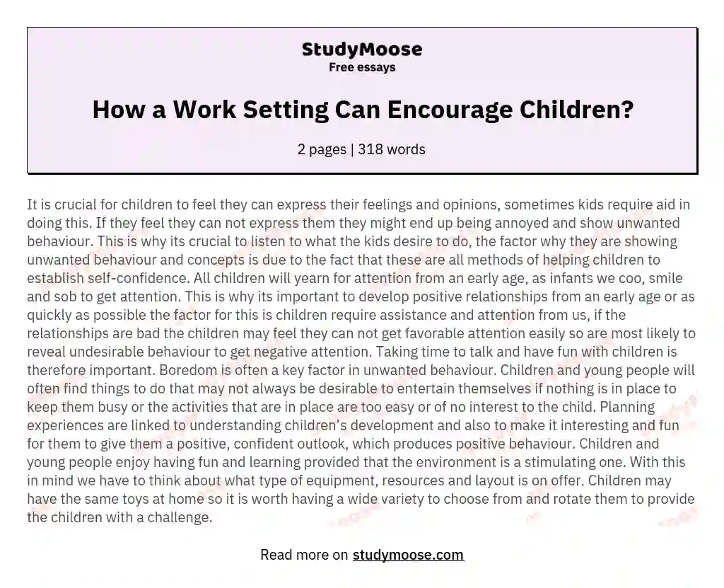 How a Work Setting Can Encourage Children? essay