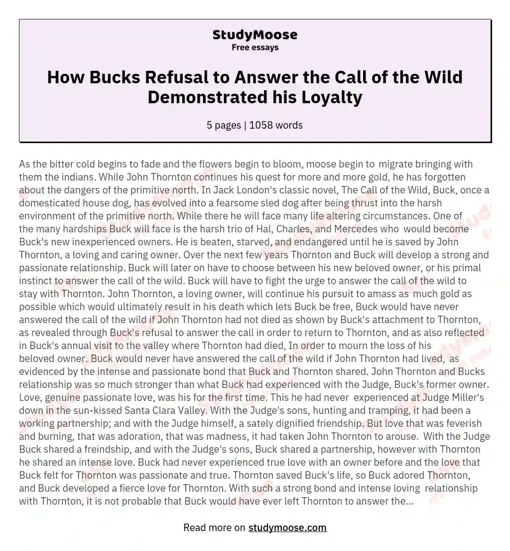 How Bucks Refusal to Answer the Call of the Wild Demonstrated his Loyalty essay