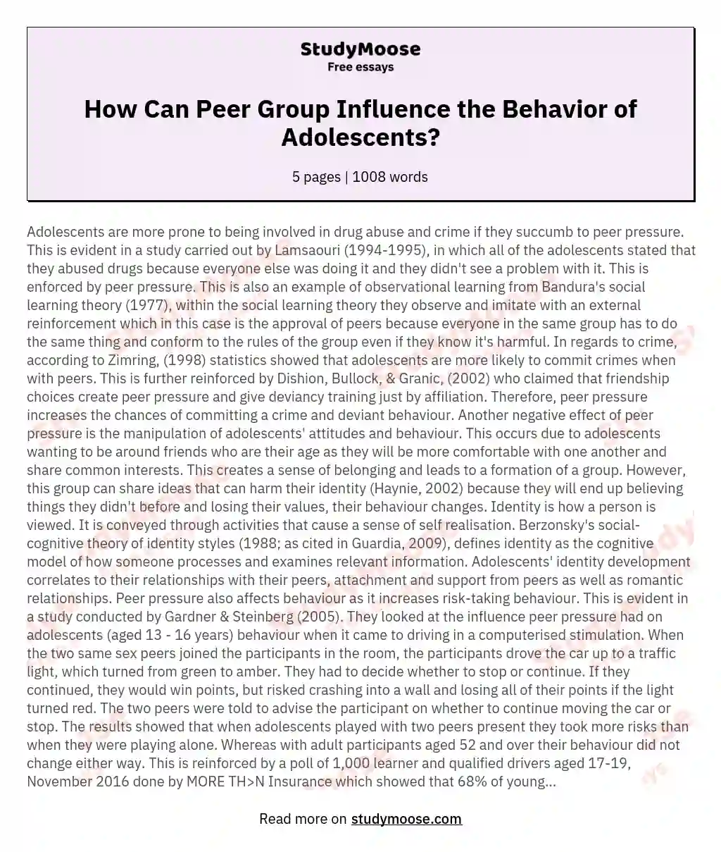 How Can Peer Group Influence the Behavior of Adolescents? essay