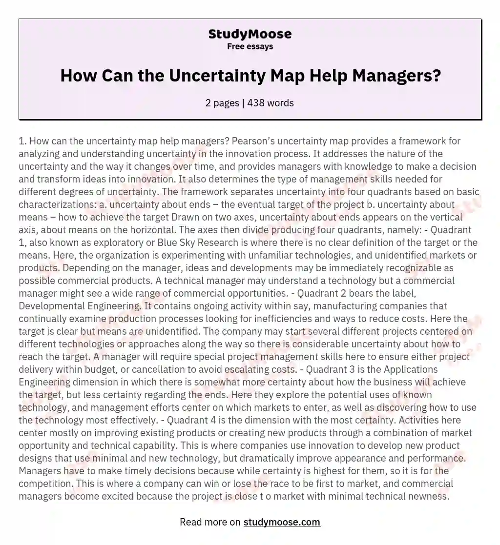 How Can the Uncertainty Map Help Managers? essay