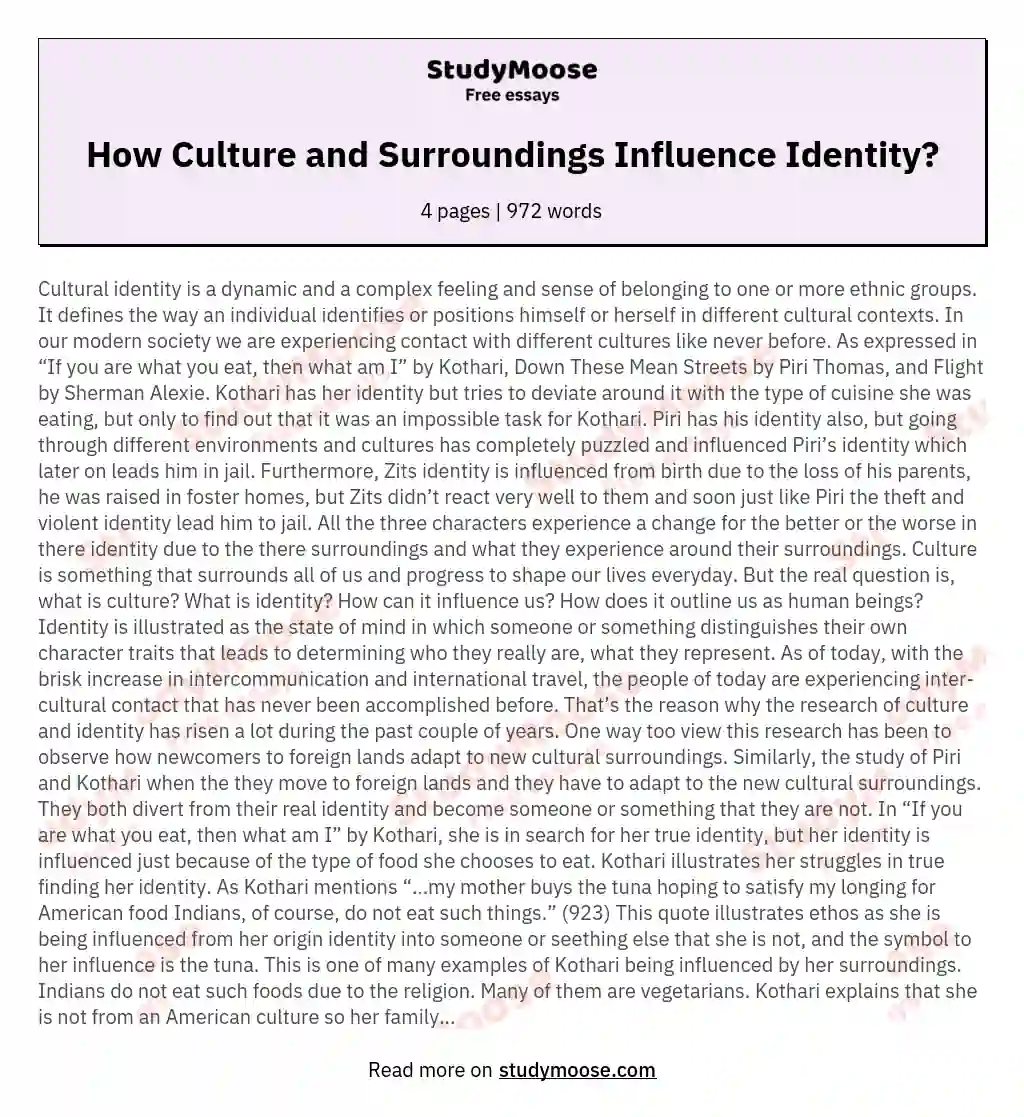 How Culture and Surroundings Influence Identity?