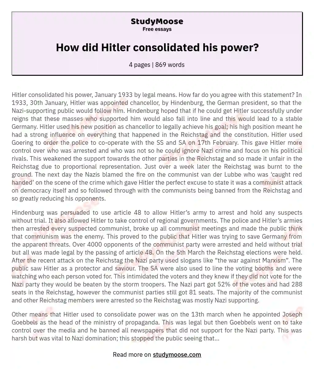 How did Hitler consolidated his power? essay