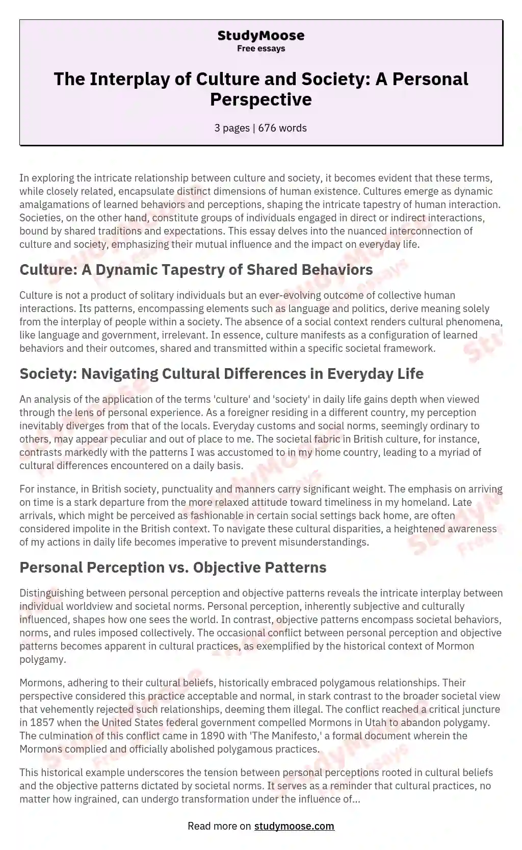 The Interplay of Culture and Society: A Personal Perspective essay