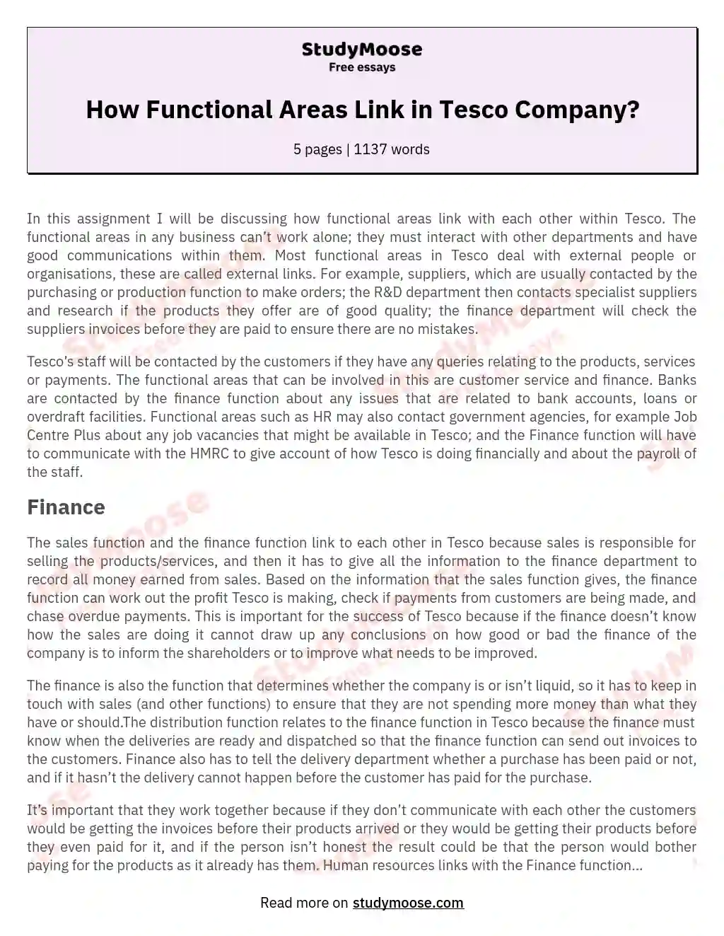How Functional Areas Link in Tesco Company? essay