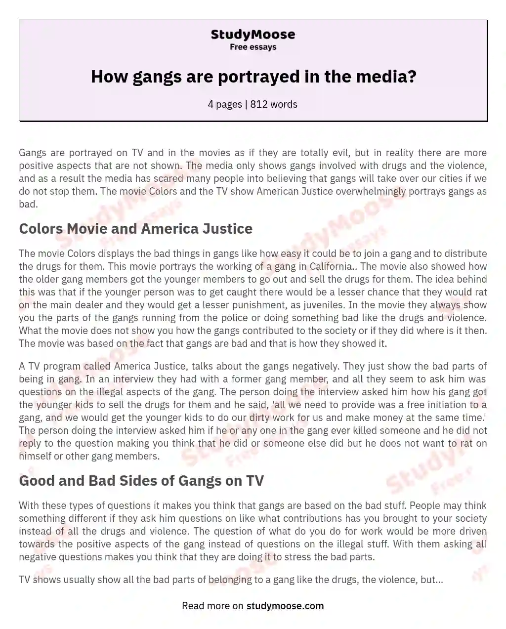 How gangs are portrayed in the media? essay