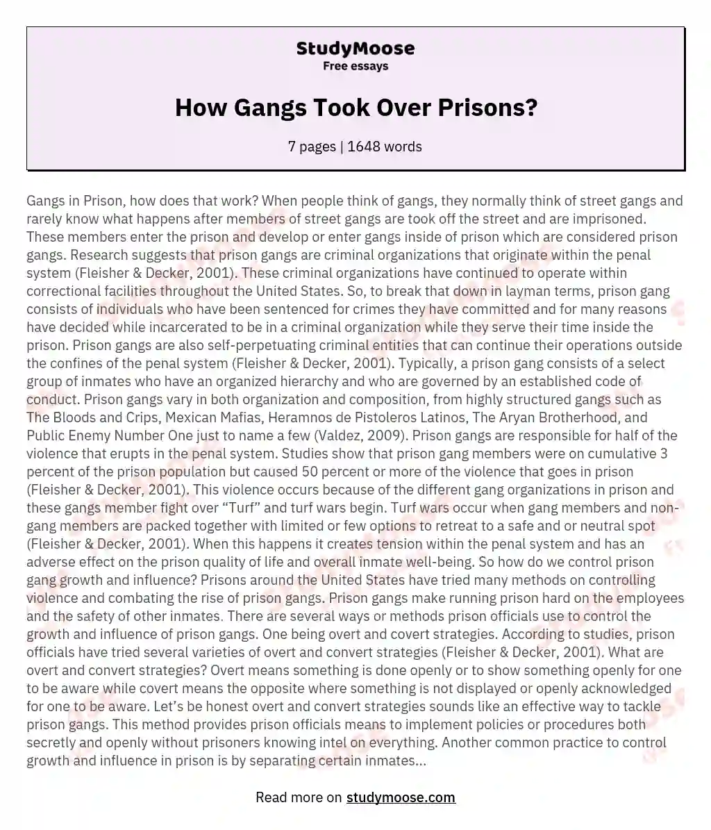 How Gangs Took Over Prisons? essay