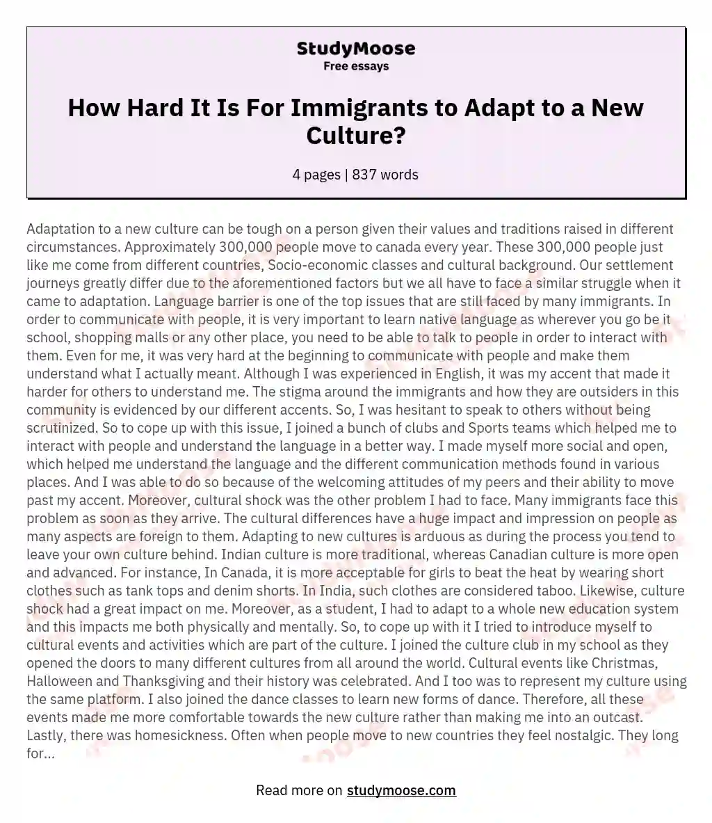 How Hard It Is For Immigrants to Adapt to a New Culture?