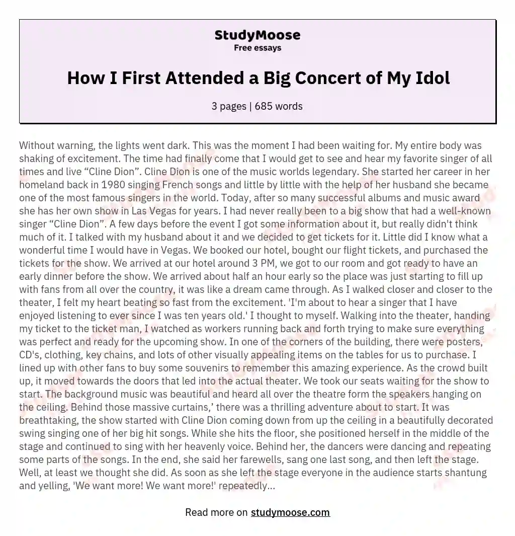 How I First Attended a Big Concert of My Idol essay