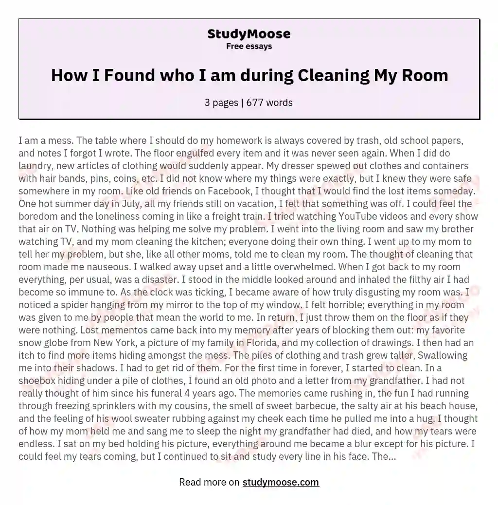 How I Found who I am during Cleaning My Room essay