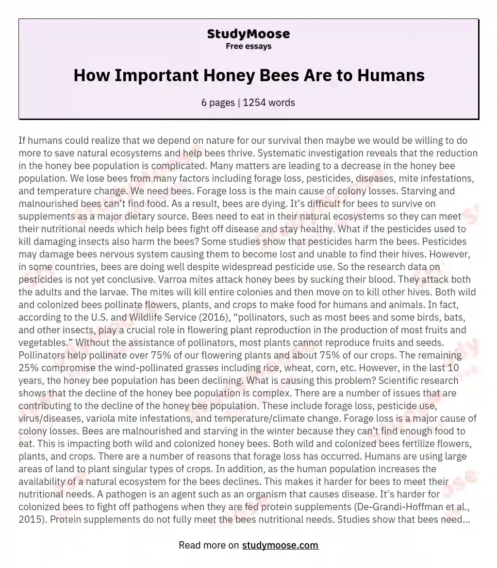 How Important Honey Bees Are to Humans essay