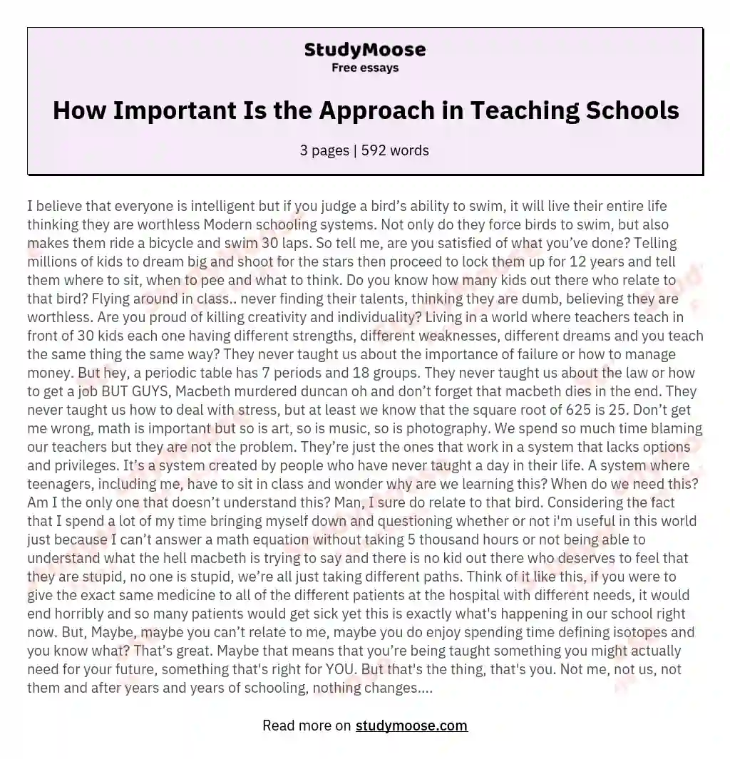 How Important Is the Approach in Teaching Schools essay