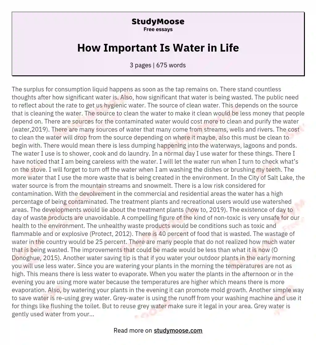 How Important Is Water in Life essay