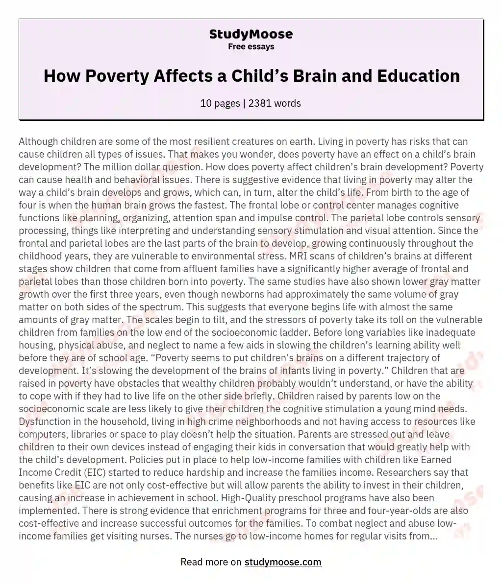 How Poverty Affects a Child’s Brain and Education essay