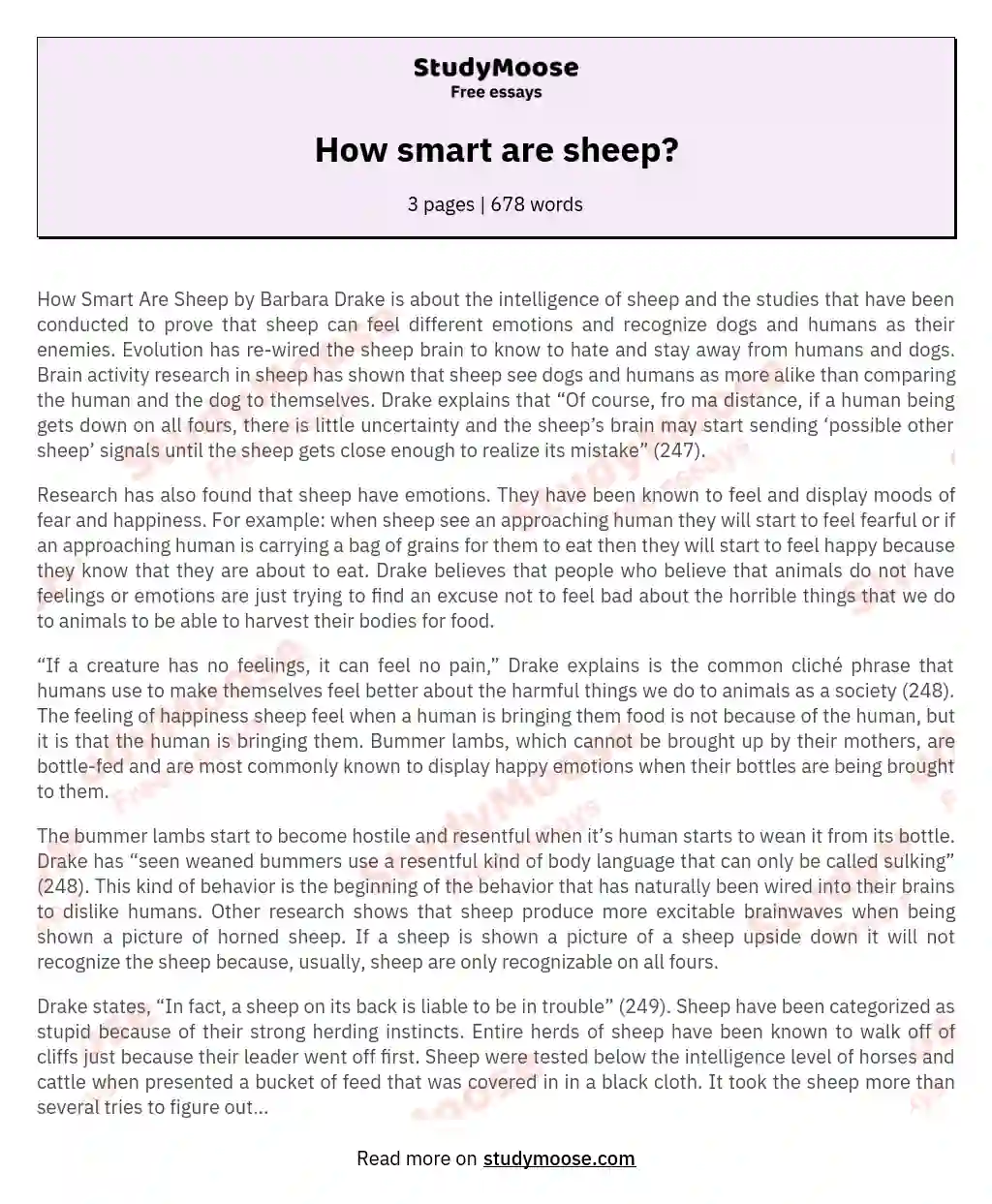 Unveiling the Intelligence of Sheep: A Fascinating Exploration essay