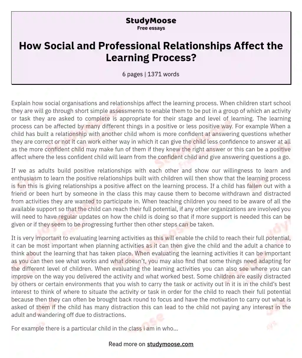 How Social and Professional Relationships Affect the Learning Process? essay