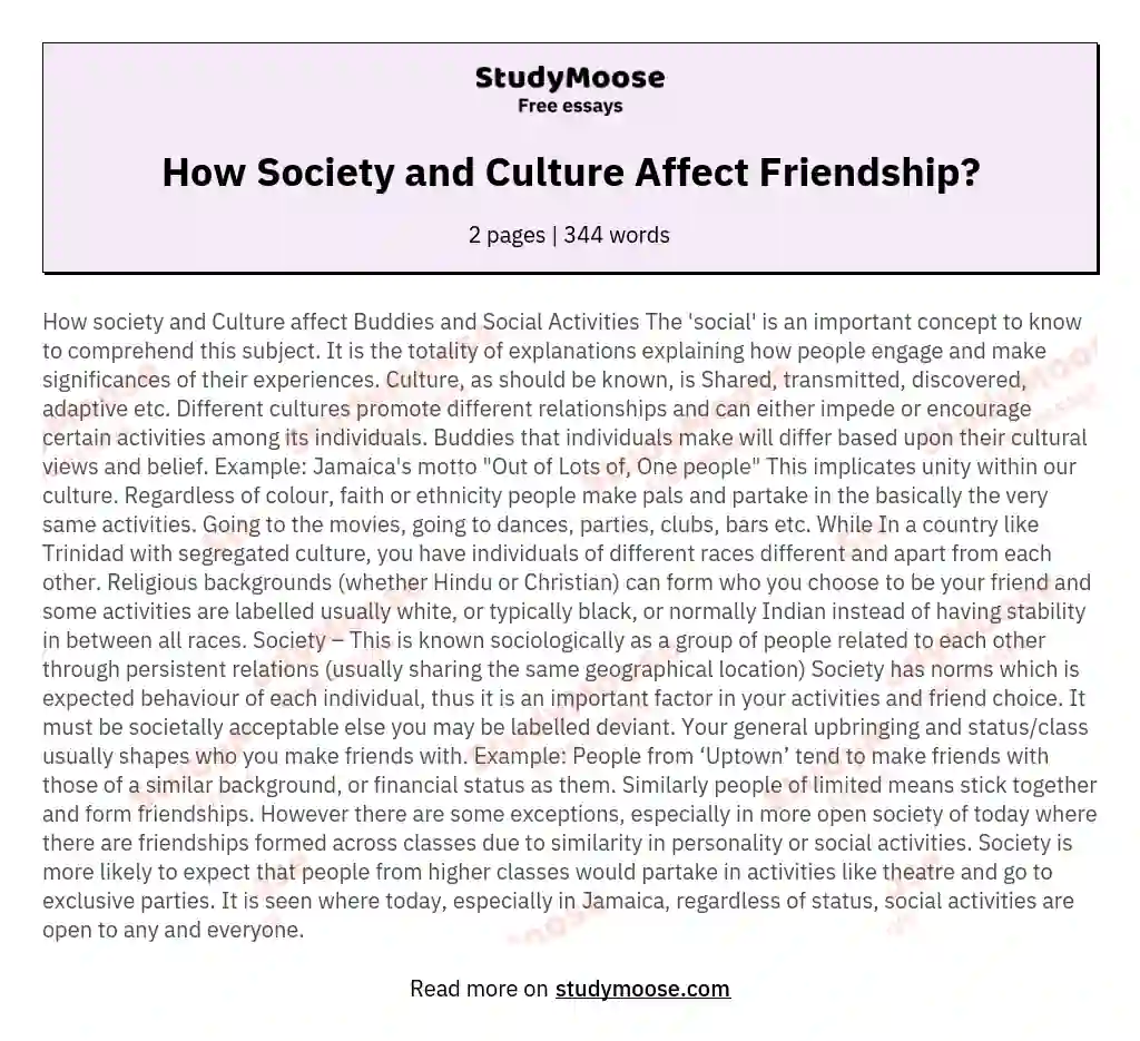 How Society and Culture Affect Friendship? essay