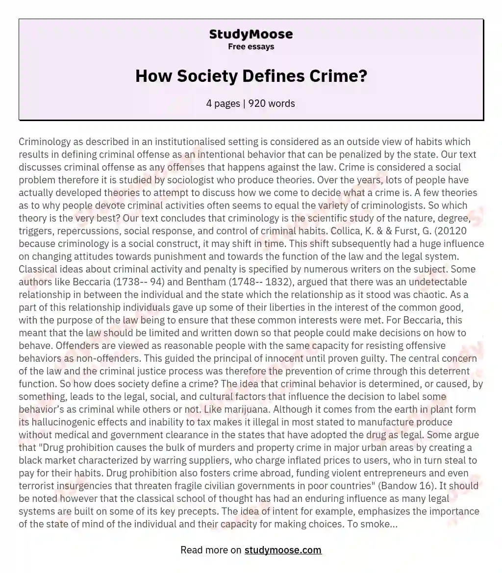 How Society Defines Crime? essay