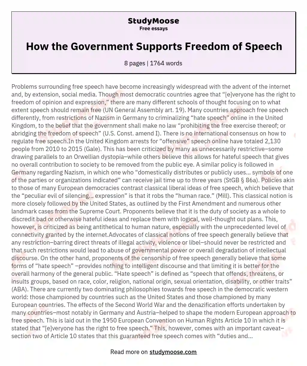How the Government Supports Freedom of Speech essay