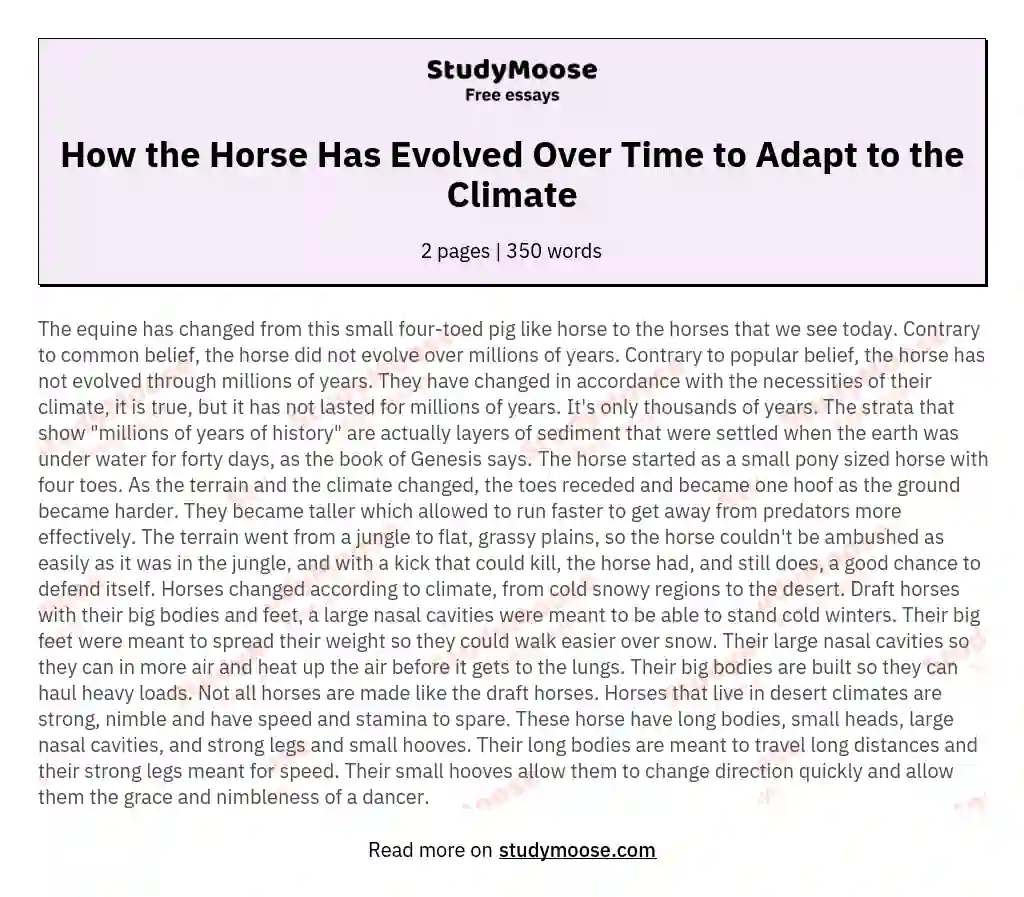 How the Horse Has Evolved Over Time to Adapt to the Climate essay