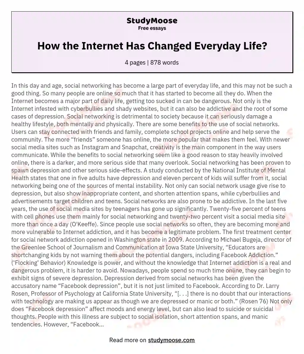 role of internet in our life essay