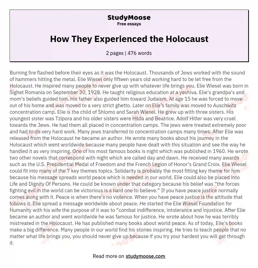 How They Experienced the Holocaust essay