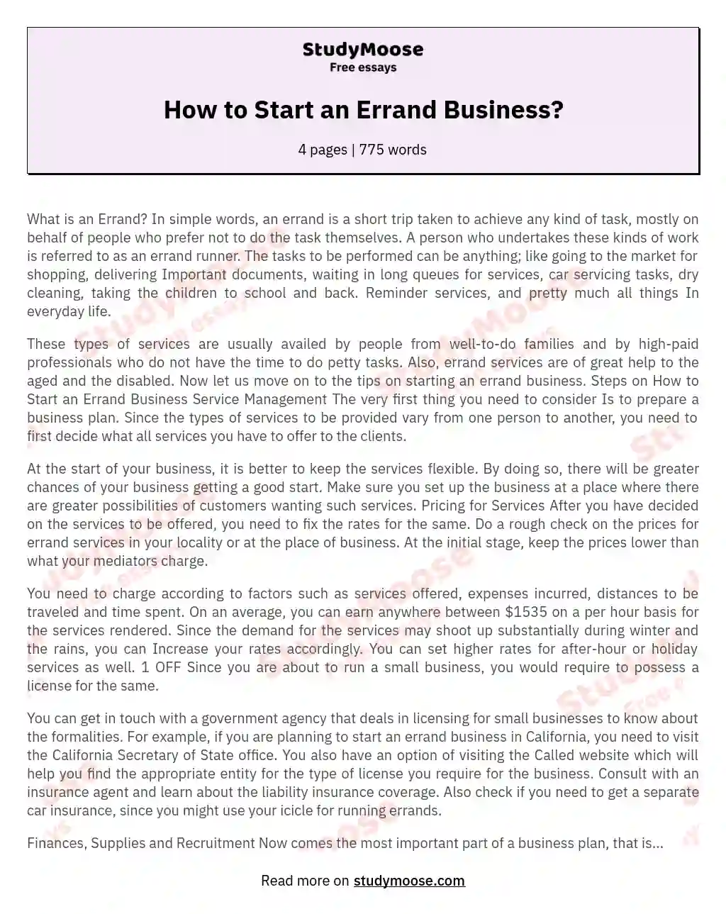 How to Start an Errand Business? essay