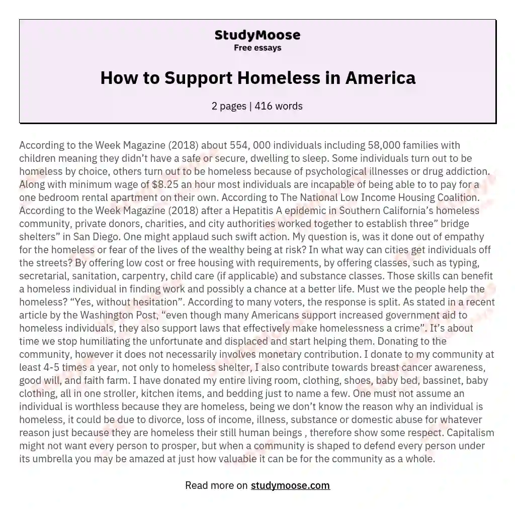 How to Support Homeless in America essay