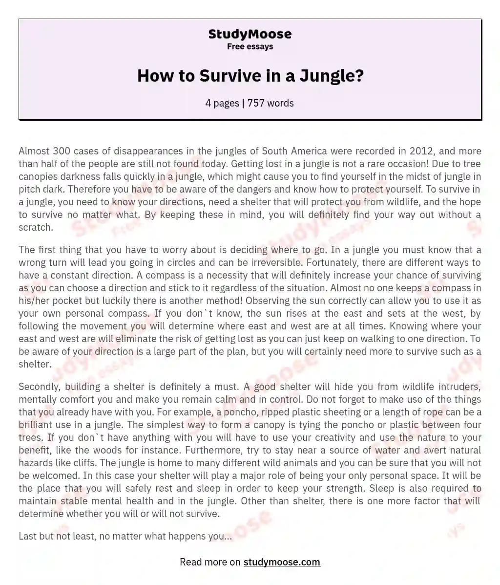 How to Survive in a Jungle? essay