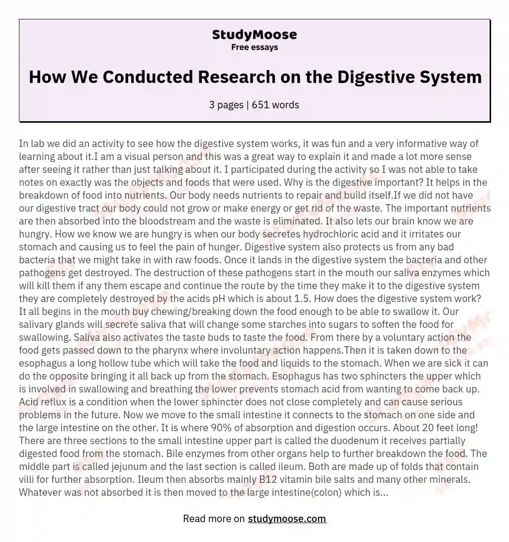 How We Conducted Research on the Digestive System essay
